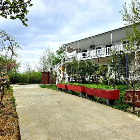 Hilltop Guest House Kʼutʼaisi Exterior foto
